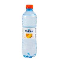 ВОДА TURAN С/В МАНГО/АНАНАС Б/ГАЗ 0,5Л ПЛ/БУТ ВОДА TURAN С/В МАНГО/АНАНАС Б/ГАЗ 0,5Л ПЛ/БУТ