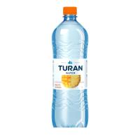 ВОДА TURAN С/В МАНГО/АНАНАС Б/ГАЗ 1Л ПЛ/БУТ ВОДА TURAN С/В МАНГО/АНАНАС Б/ГАЗ 1Л ПЛ/БУТ