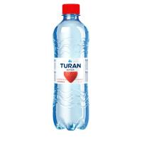 ВОДА TURAN С/В КЛУБНИКИ Б/ГАЗ 0,5Л ПЛ/БУТ ВОДА TURAN С/В КЛУБНИКИ Б/ГАЗ 0,5Л ПЛ/БУТ